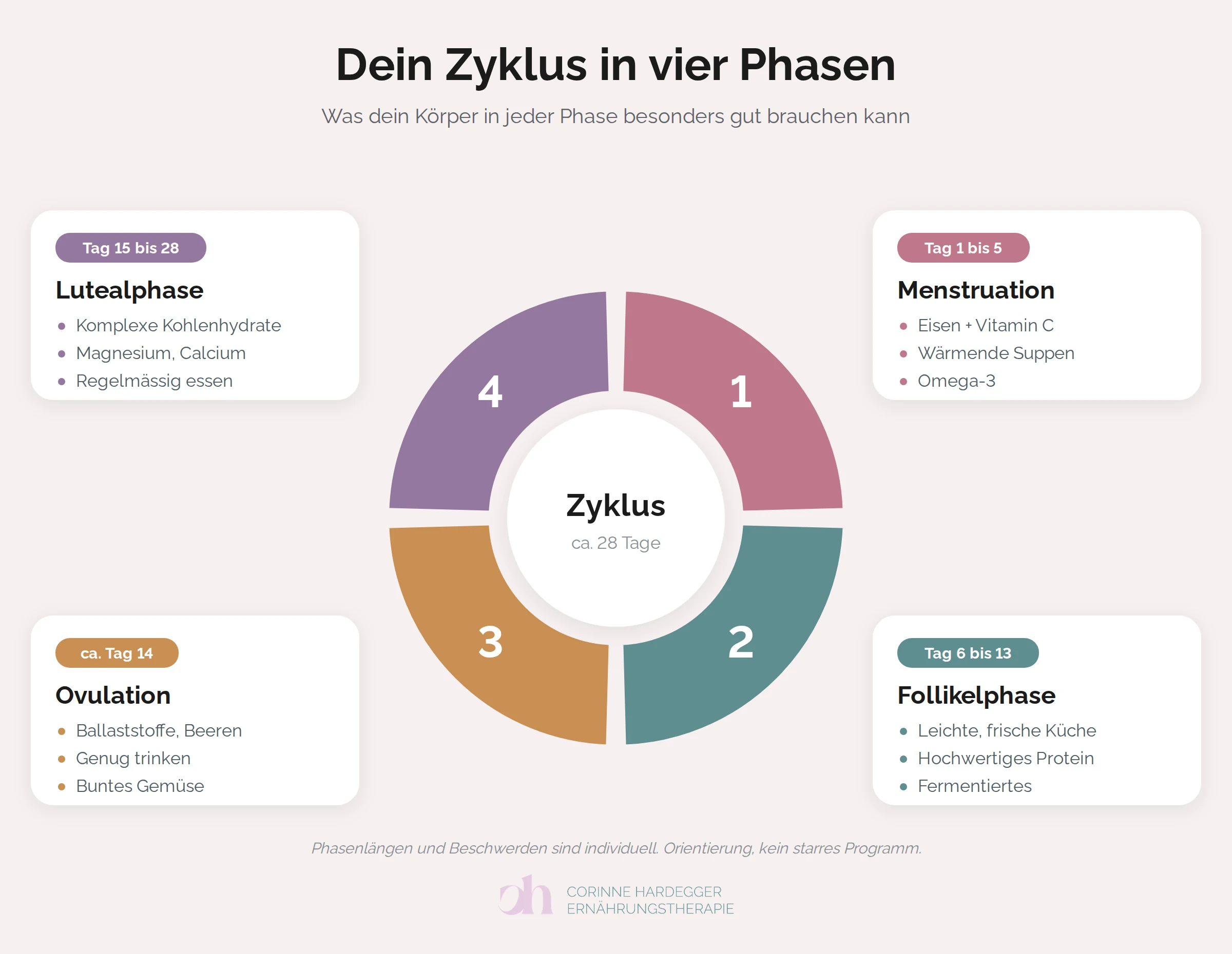 Zyklusrad mit den vier Phasen und je drei Ernährungstipps: Menstruation (Eisen und Vitamin C, wärmende Suppen, Omega-3), Follikelphase (leichte, frische Küche, hochwertiges Protein, Fermentiertes), Ovulation (Ballaststoffe und Beeren, genug trinken, buntes Gemüse), Lutealphase (komplexe Kohlenhydrate, Magnesium und Calcium, regelmässig essen)