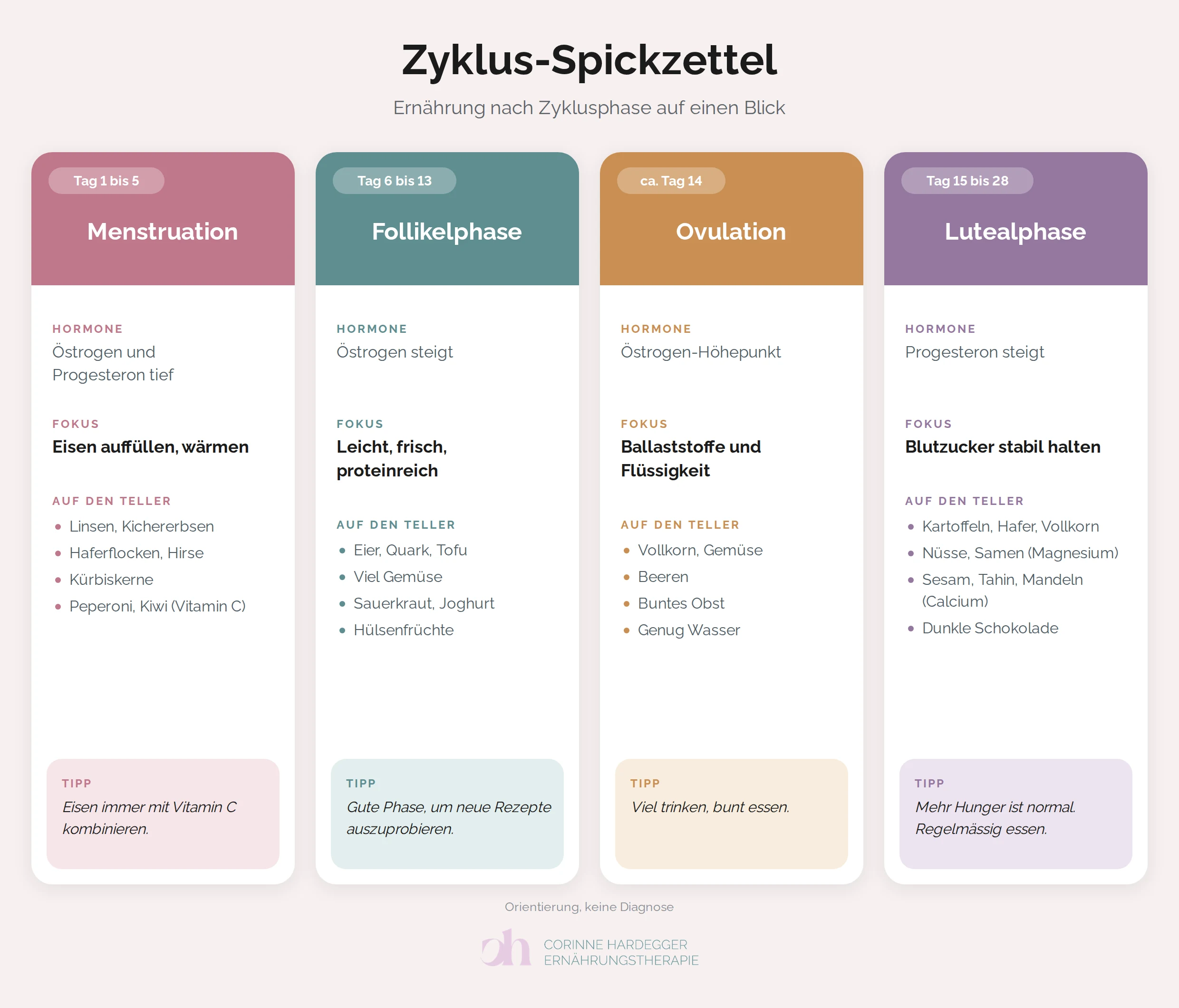 Zyklus-Spickzettel: Hormone, Fokus, passende Lebensmittel und ein Tipp für jede der vier Phasen Menstruation, Follikelphase, Ovulation und Lutealphase